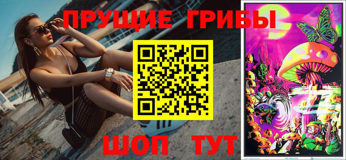 Галлюциногенные грибы Psilocybe Чернушка