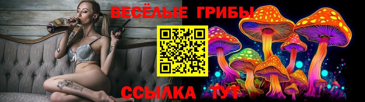 Чернушка  Галлюциногенные грибы ЛСД  Вход с VPN 